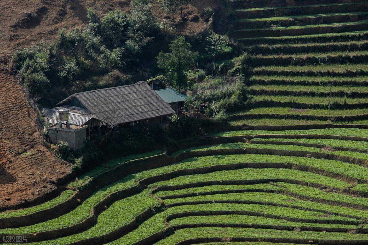 图片[3]-去了越南才知道的“真相” -华闻时空