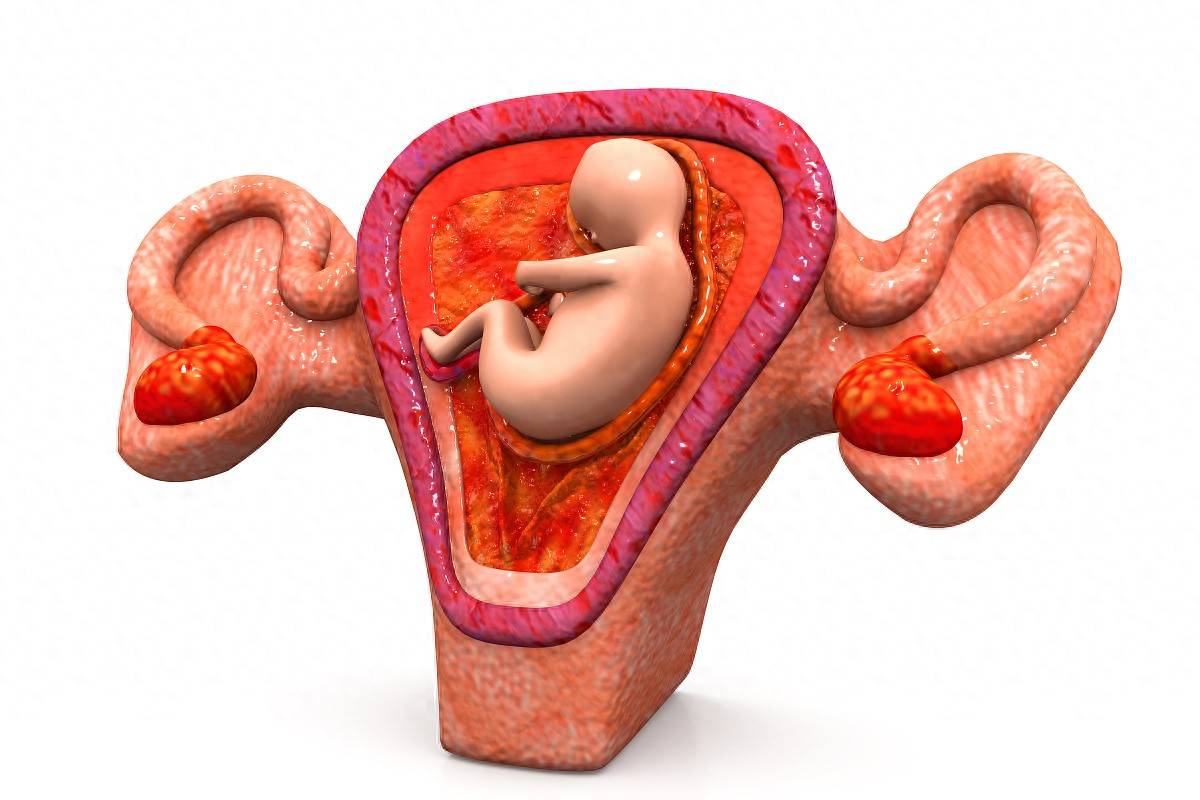 家有女儿,妈妈一定要在孩子来月经后,告