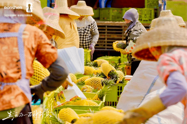 《“寻鲜之旅”飘起菠萝香：容声冰箱联动徐闻菠萝守护田间到舌尖的新鲜》