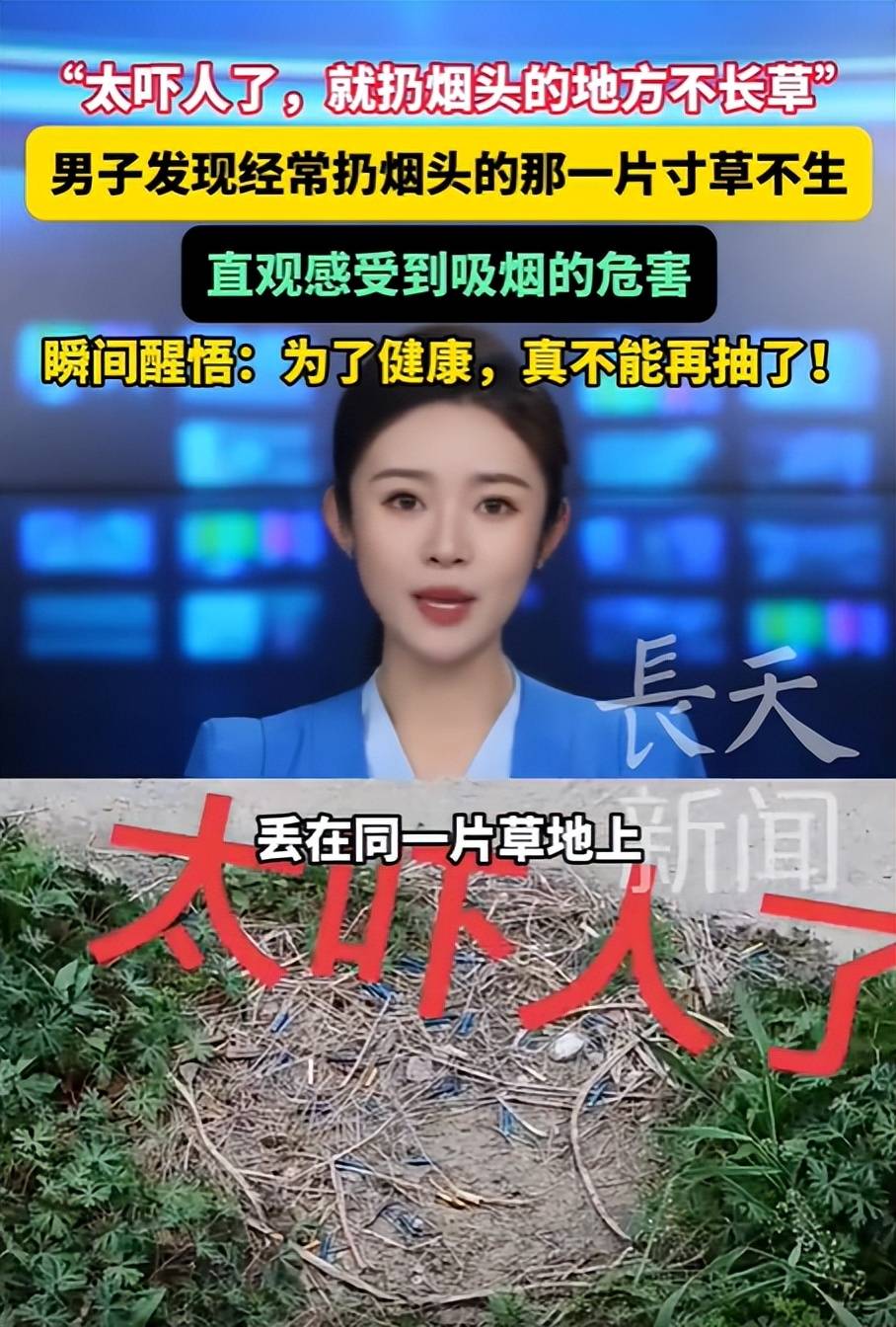 男子发现扔烟头地方不长草决定戒烟 吸烟会污染生活环境?