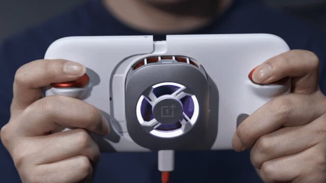 P1035138_8.gif