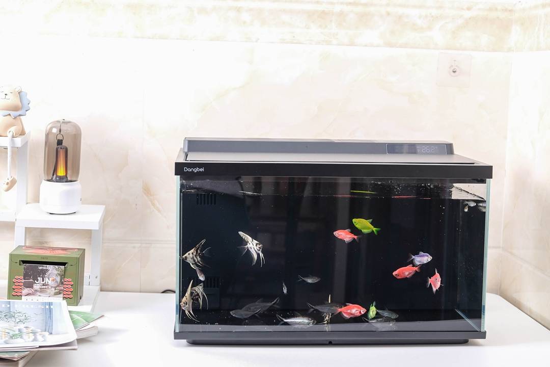 当贝智能鱼缸2S Ultra体验：真正让懒人也能养好鱼的“终点站”