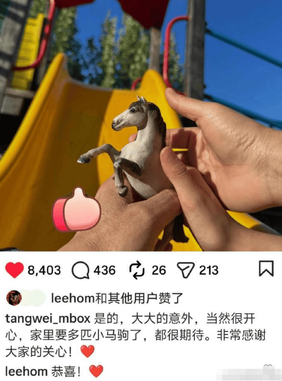 汤唯官宣怀二胎 王力宏送祝福