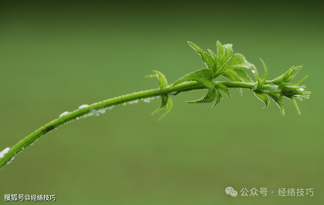 原创            立夏！这15天坚持用鸡蛋滚这里，小腹暖了，燥气自己就收住了，一觉睡到天大亮