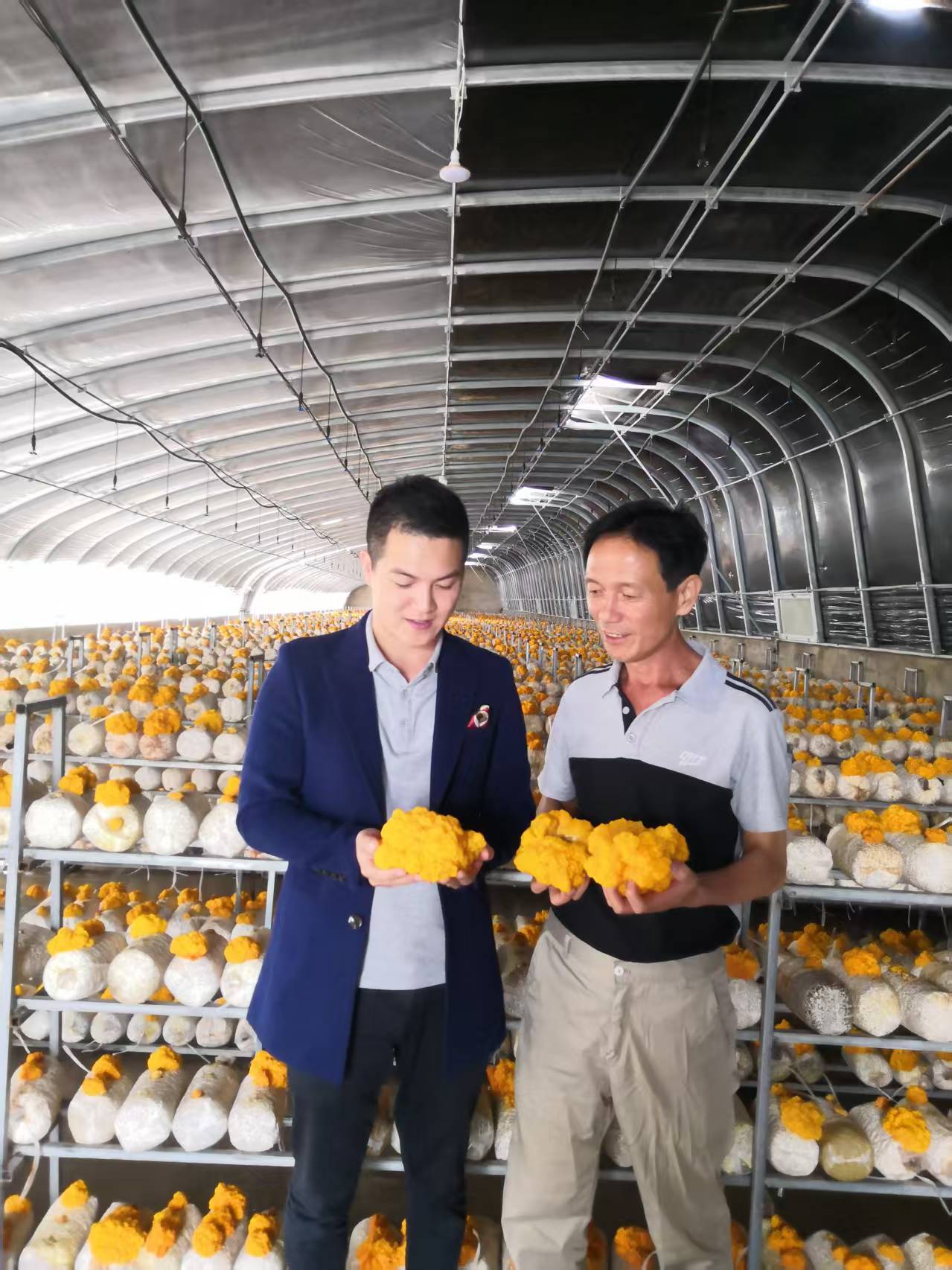 探访合肥中菌生物科技：一朵金耳的二十五年产业化之路