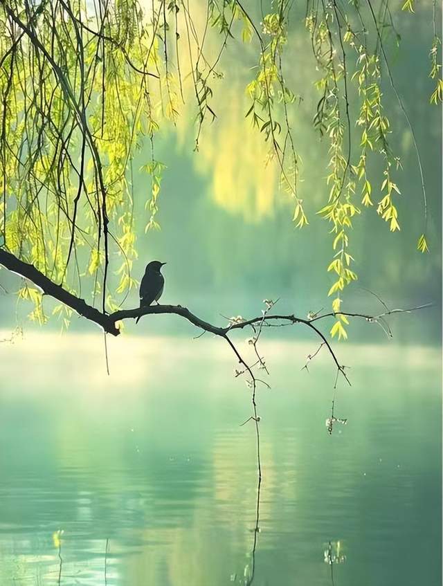 淮安诗人毛峰近作专辑