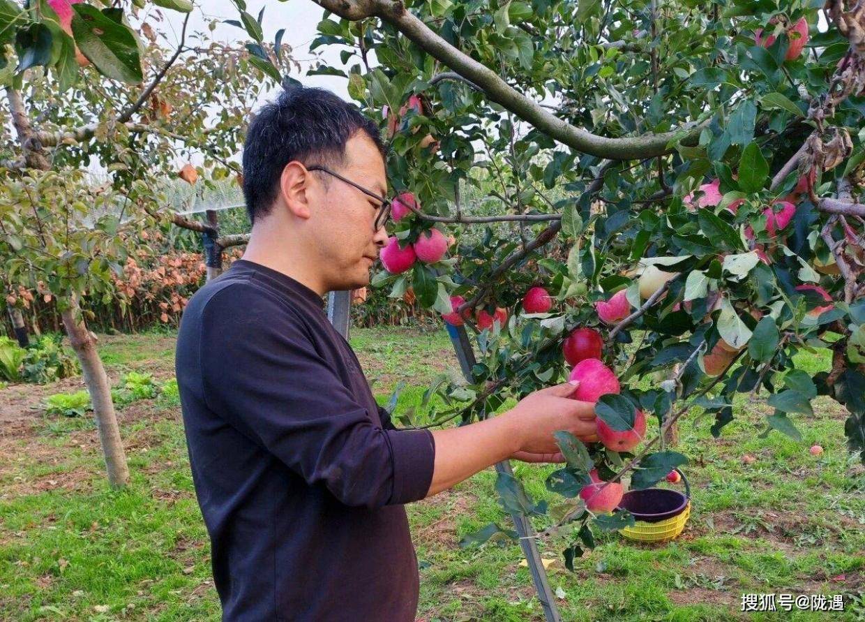 新农人李建国：从“前端工程师”到乡村振兴“头雁”