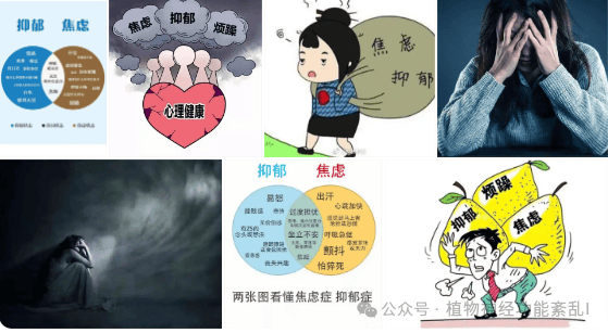 焦虑抑郁双重折磨，身心俱疲如坠深渊，及时应对，黑暗中终见微光！