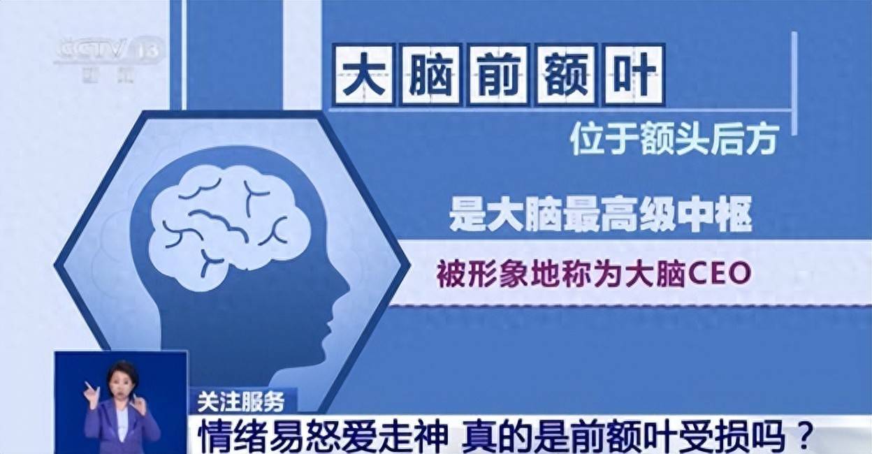 情绪易怒、爱走神是前额叶受损吗？如何科学改善？专家解读