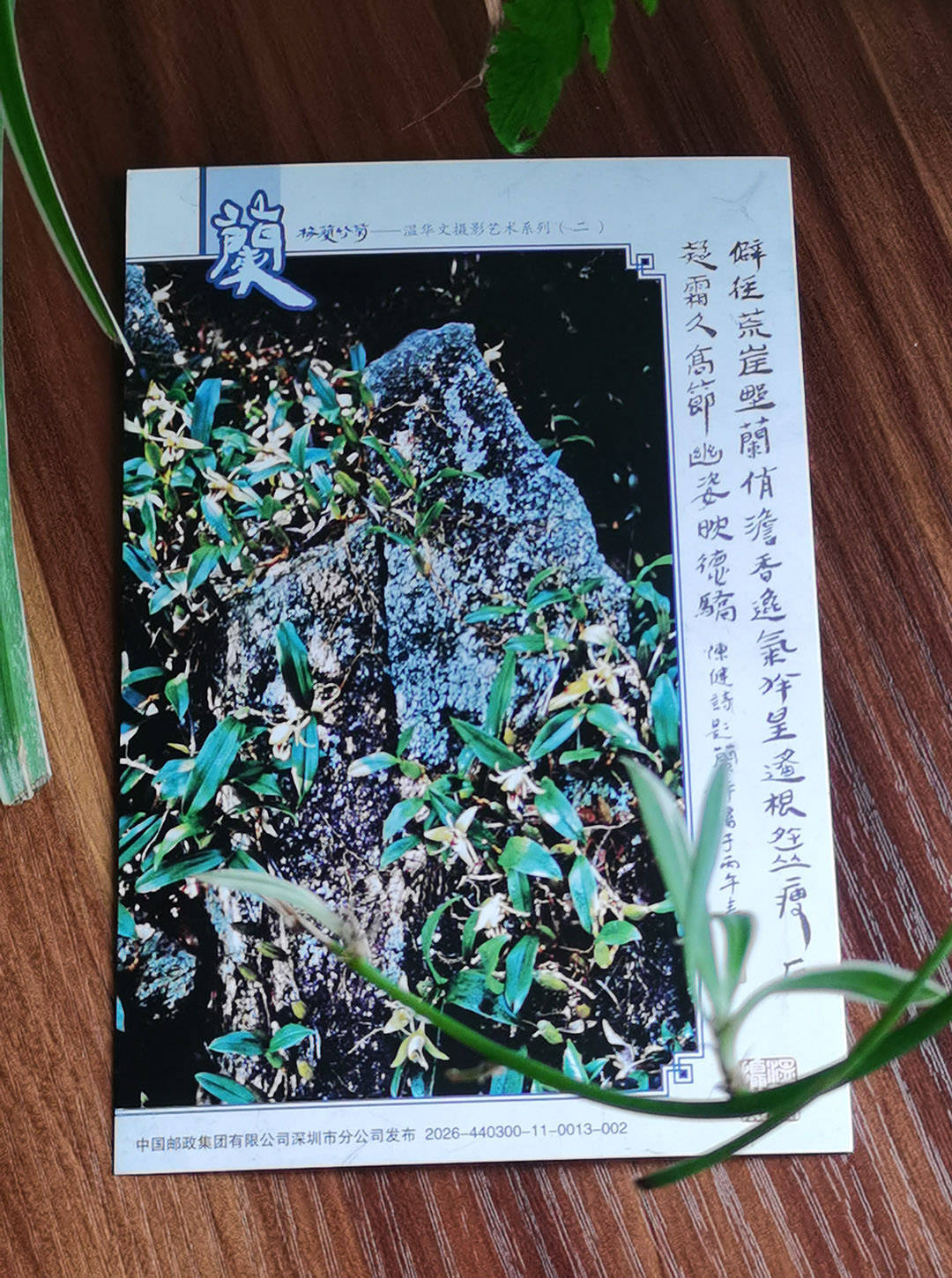 文章配图-2