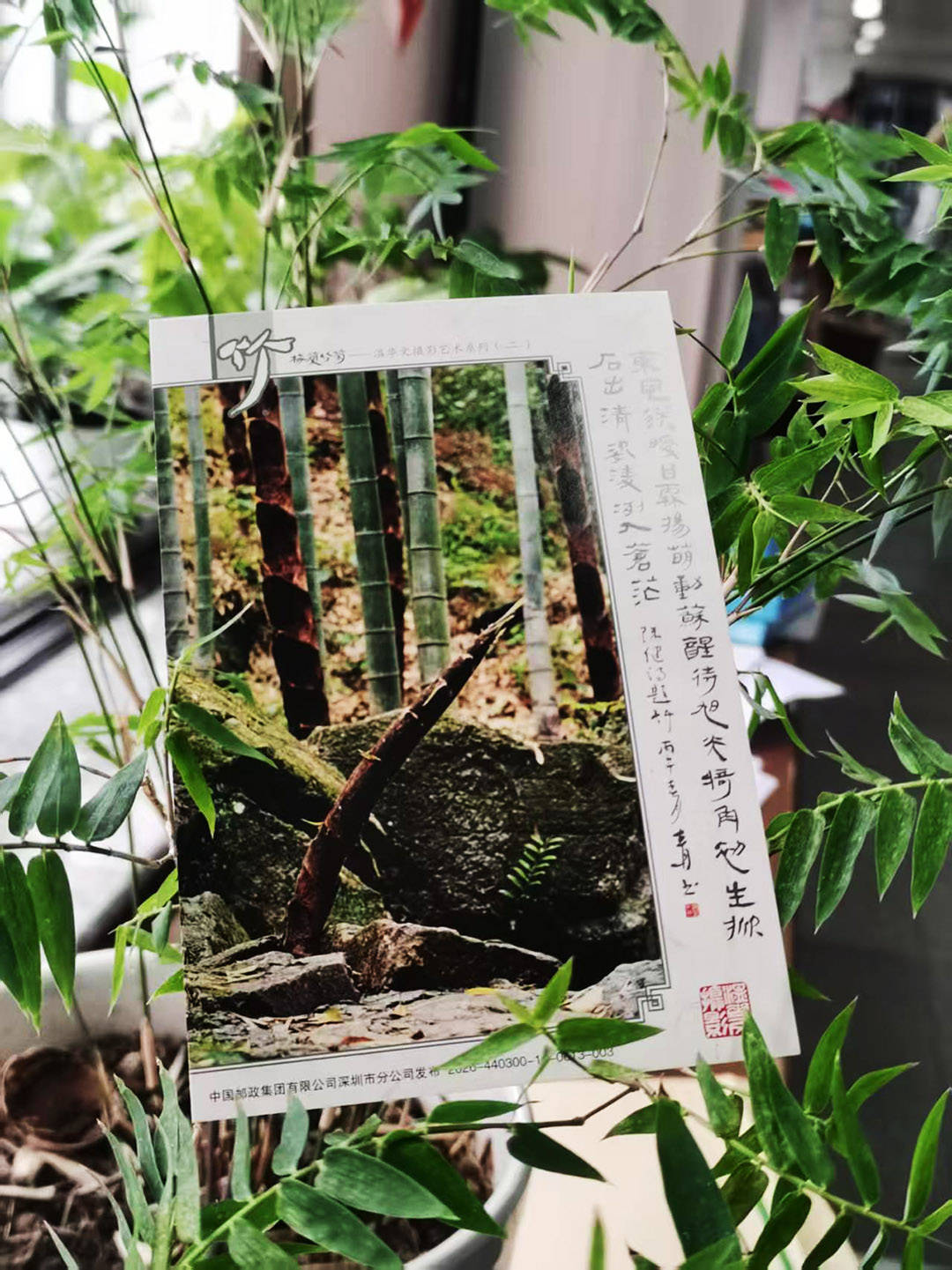 文章配图-2