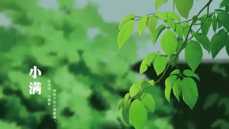 原创            小满后少吃牛羊肉，牢记：1少吃，2多吃，吃3样，忌2事，顺时而食