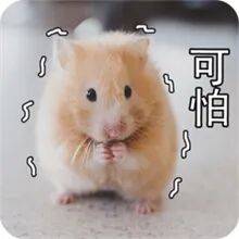 你的血管正在悄悄长斑变硬！这样做，可提前预防