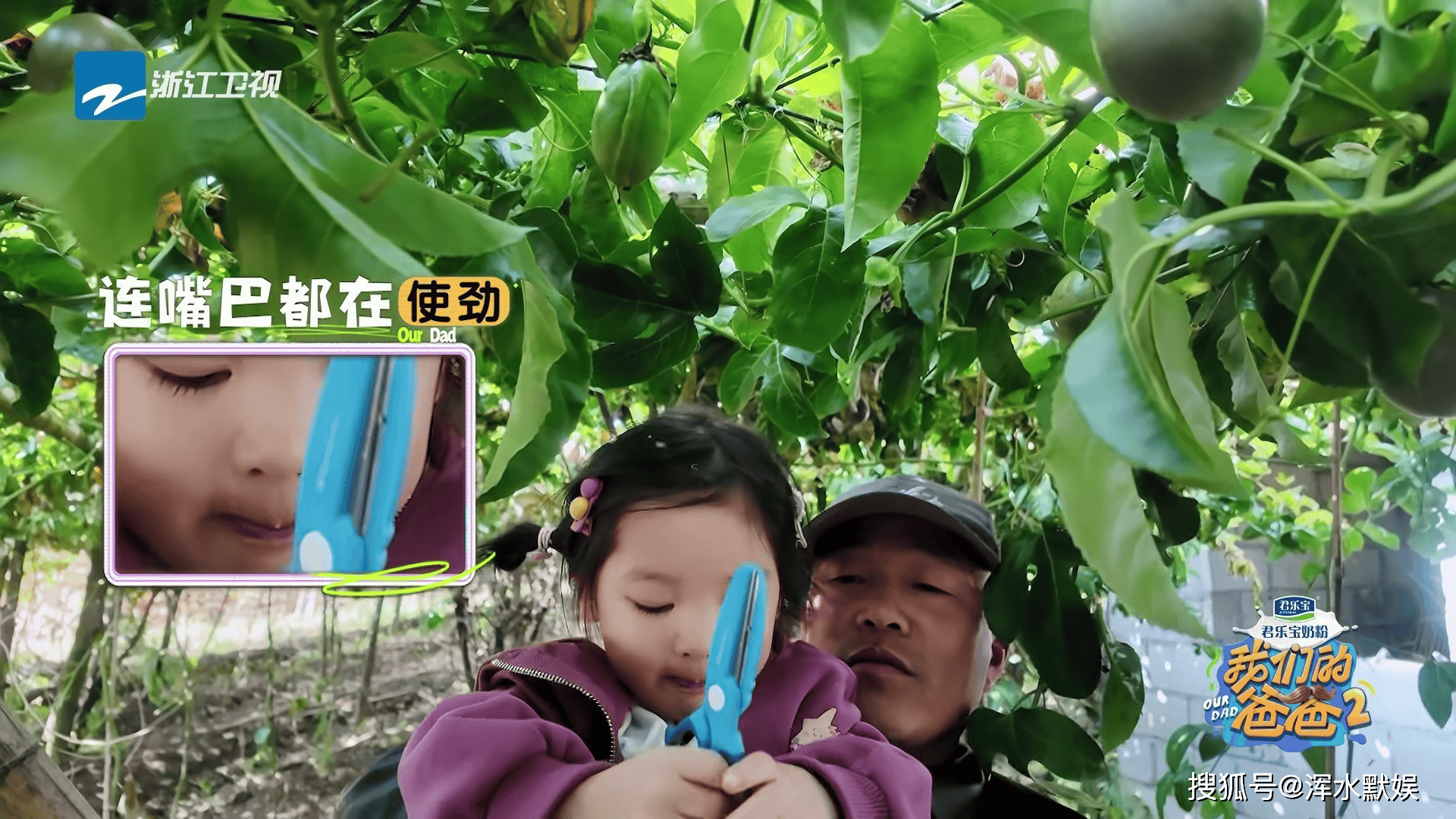 文章配图-1