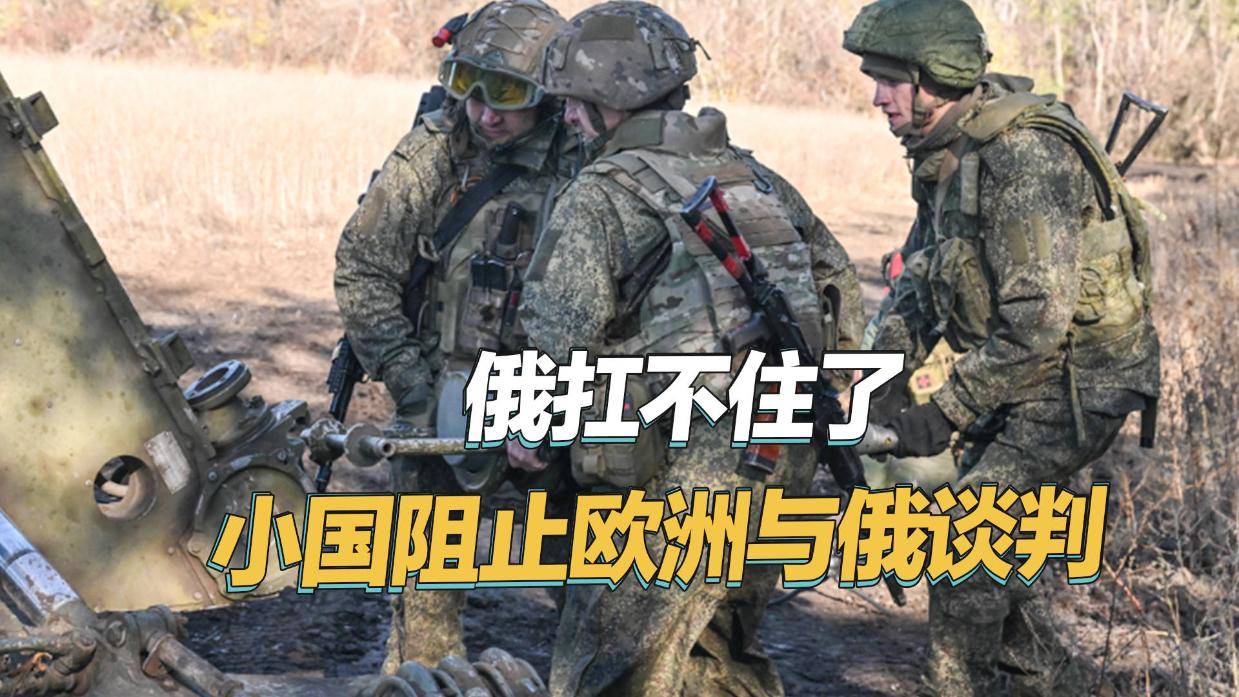 不要上普京的当，爱沙尼亚阻止欧洲与俄谈判，声称俄快扛不住了