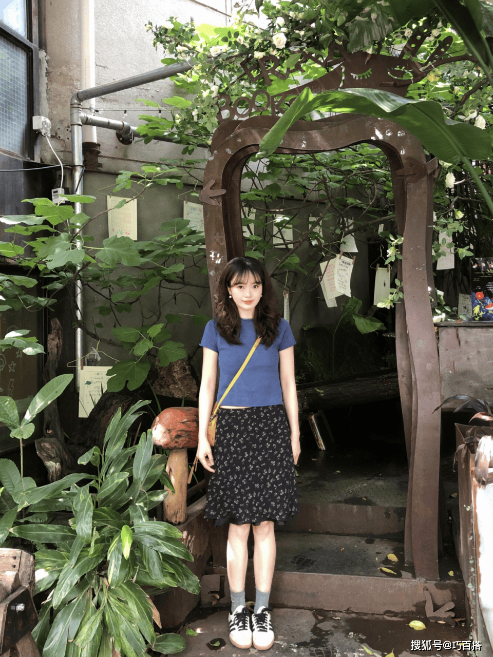 文章配图-5