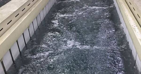 孙杨录综艺半夜不睡觉，张豆豆都管不住，原来冠军也管不住自己