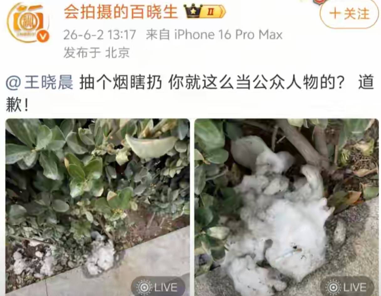 赔了夫人又折兵!以为能“搞臭”王晓晨,不料自己先被扒个底朝天
