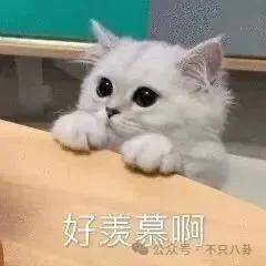 文章配图-2