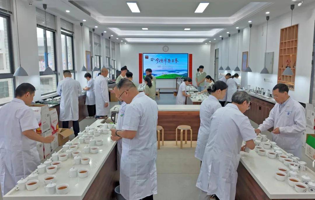 787个茶样同台角逐，福鼎茶企夺得白茶类两大“茶王”！