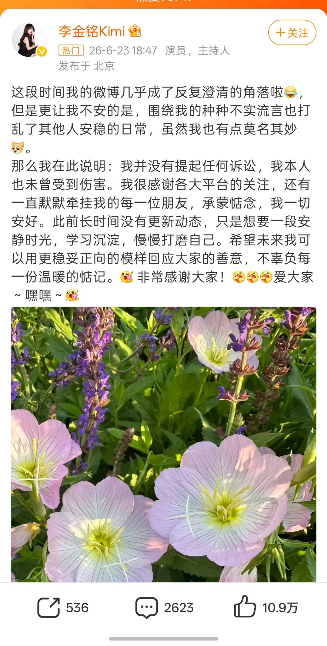 李金铭深夜发声：十二年前的“农村儿媳”闹剧，该体面落幕了