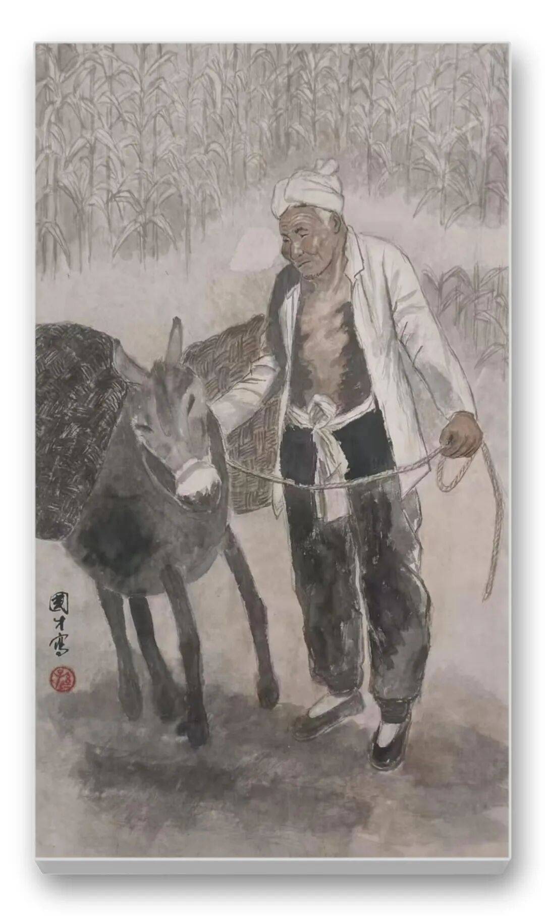 文章配图-11