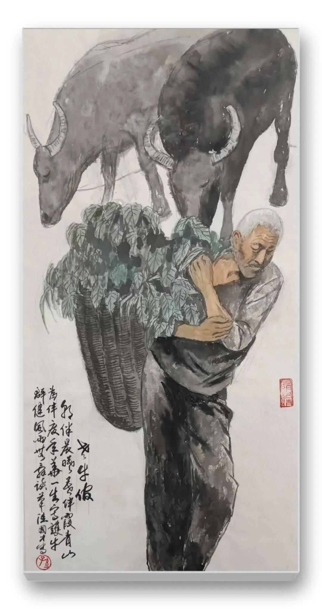 文章配图-6