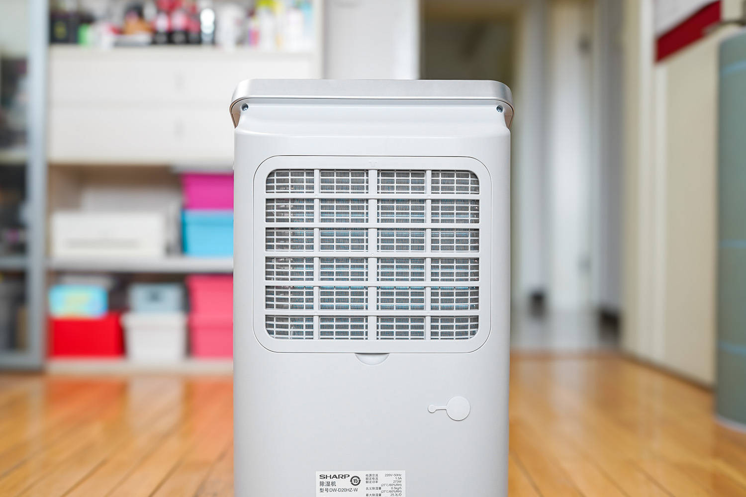 文章配图-4