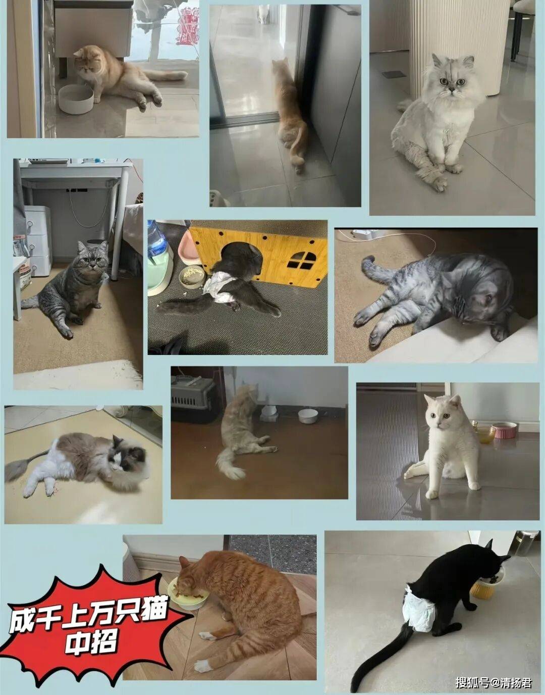 文章配图-5