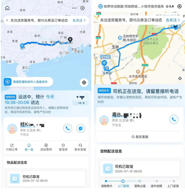 多位用户称哈啰送宠平台托运宠物遭遇宠物死亡:司机信息不符(图3) 文章配图-1