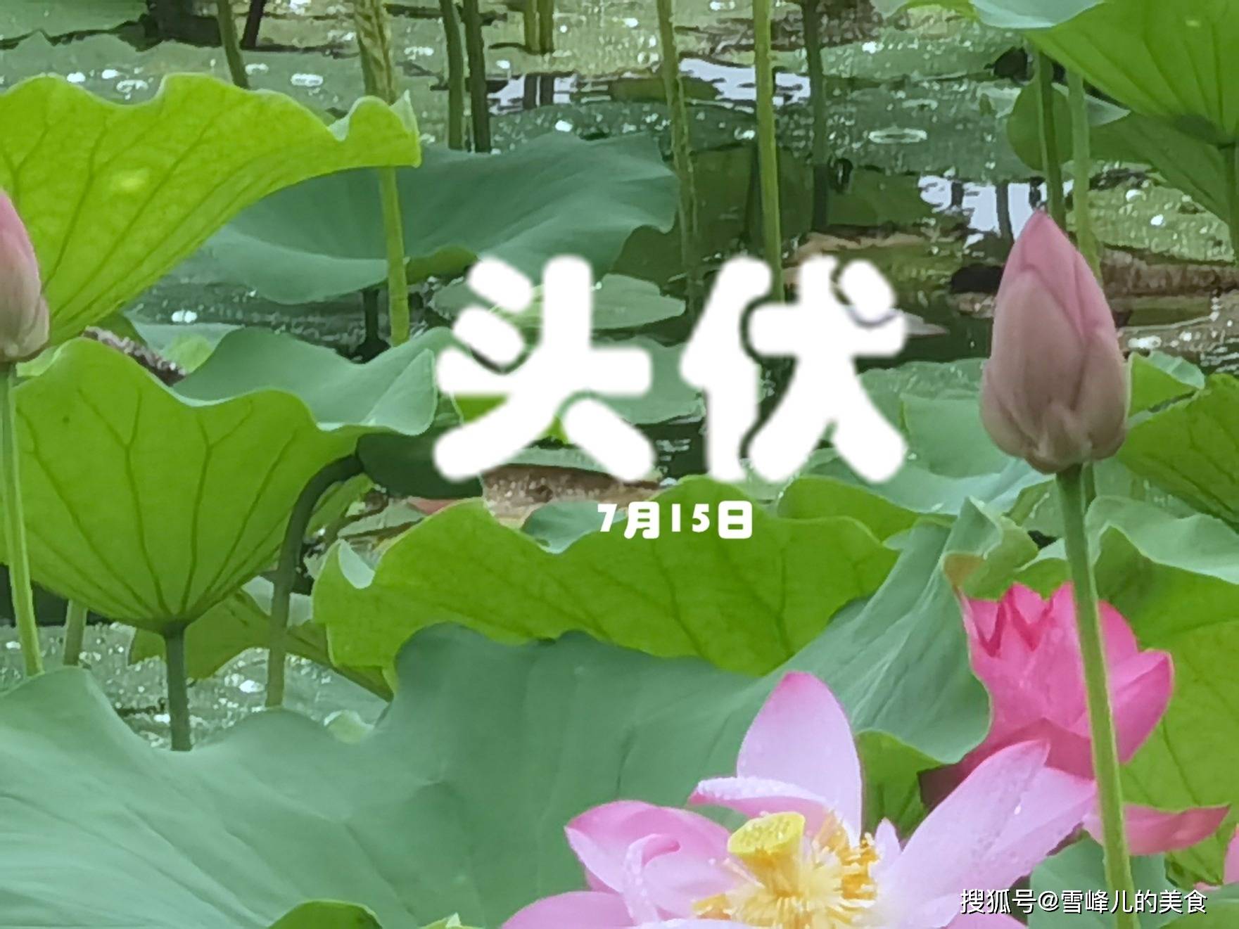 原创            明日头伏，不论再忙牢记“吃3样，做2事，忌1事”祛湿除寒不疰夏，不忘老传统!