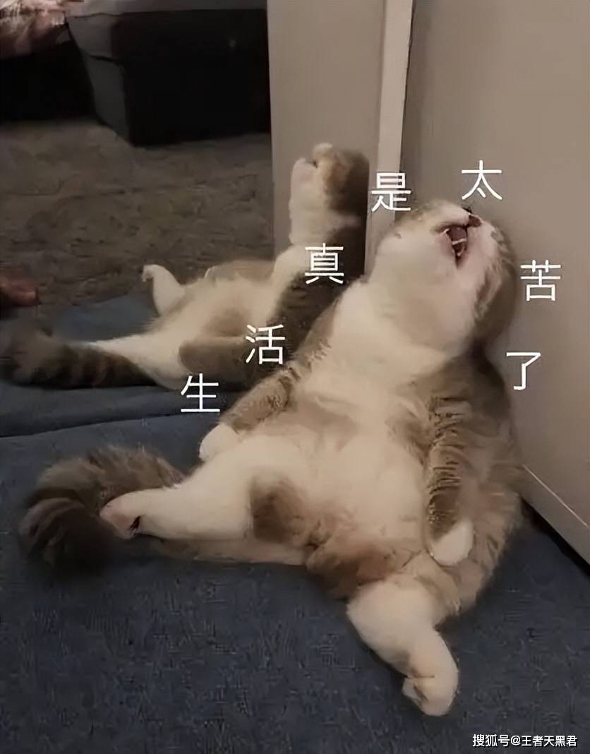 文章配图-1