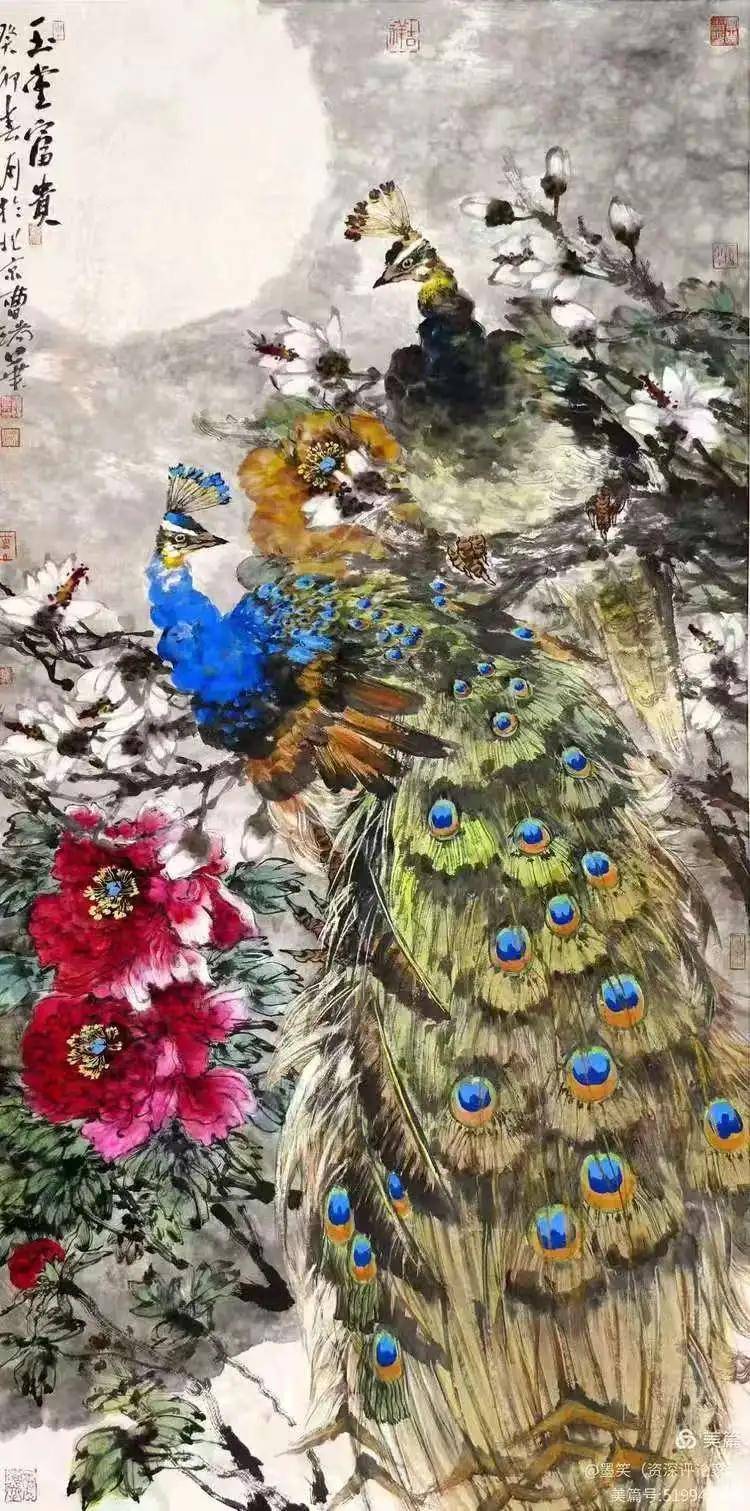 ͼƬ