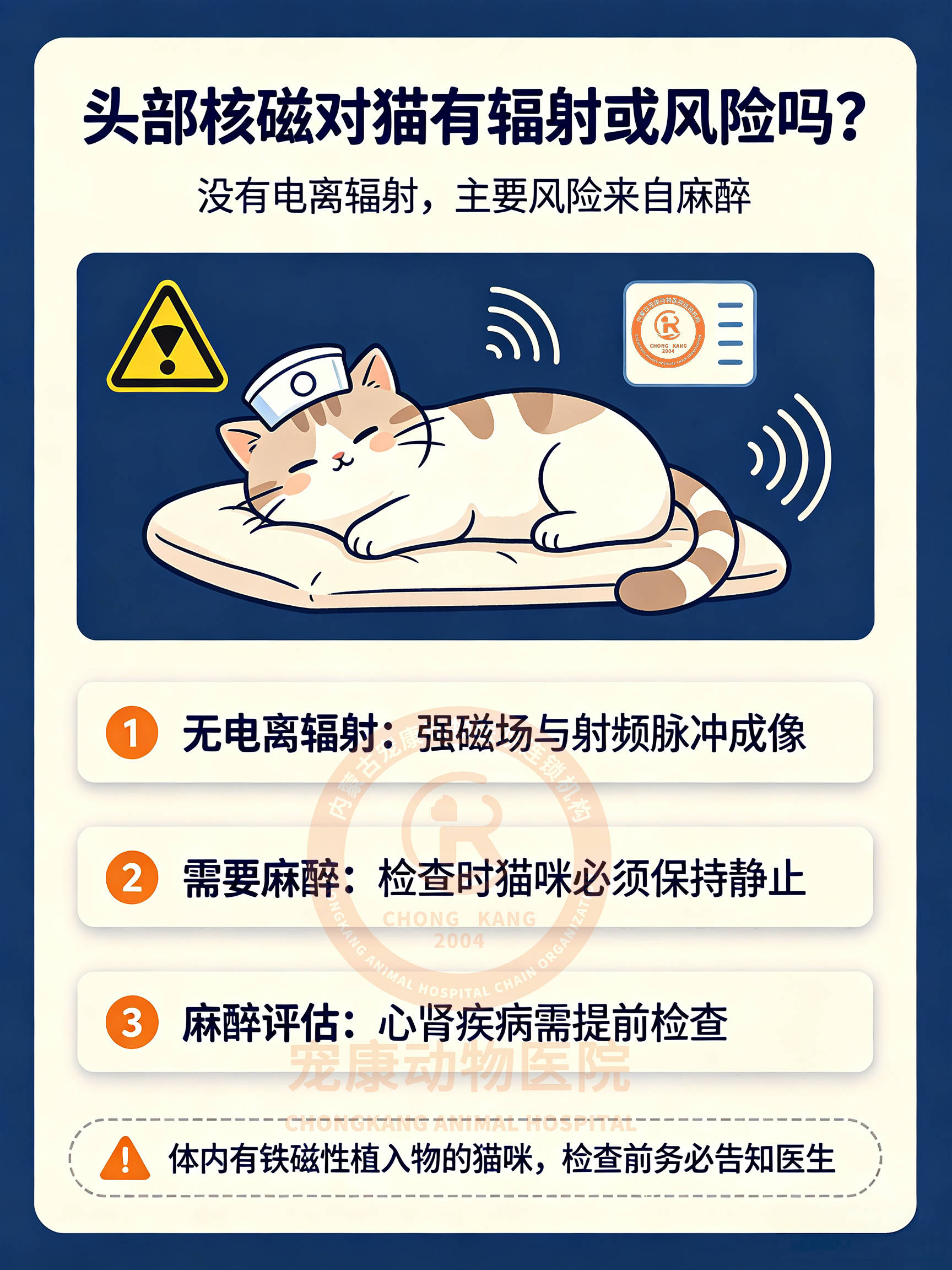 猫咪抽搐查因答疑:关于头部核磁共振的 7 个高频问题_检查_麻醉_扫描