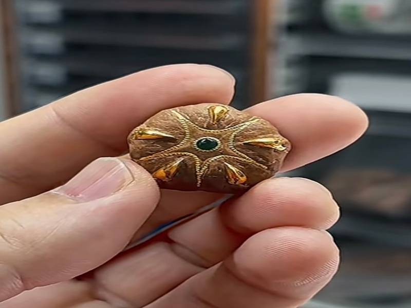 怎么挑选五星菩提 文玩收藏实用指南