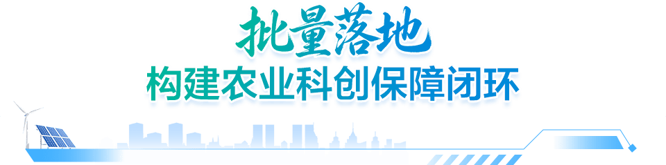 文章配图-6