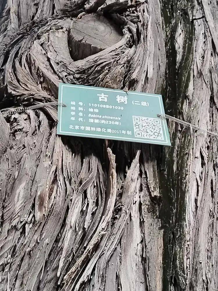 文章配图-2