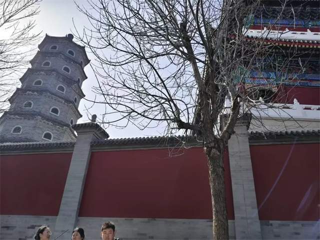 文章配图-3