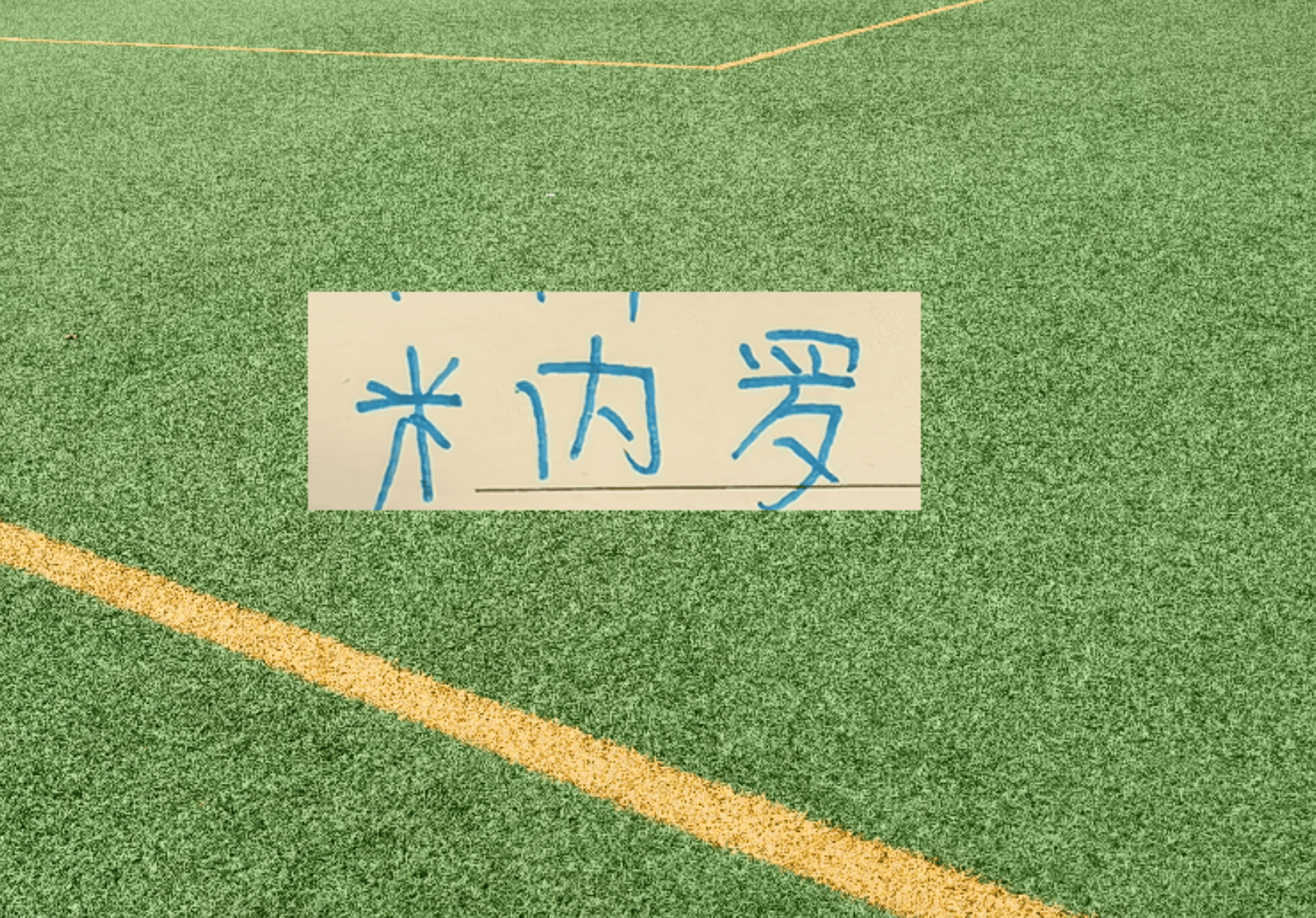 足协杯被红牌！申花前锋米内罗还有机会在亚冠赛场 剩余5场联赛证明自己吗
