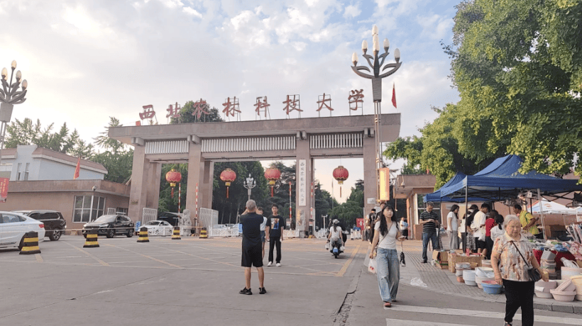 文章配图-1