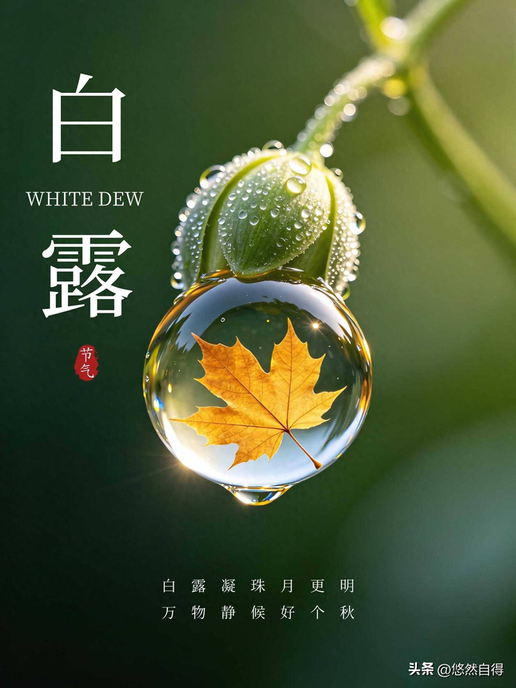 原创            白露后少吃凉，这5样秋宝再忙也要常给家人吃，营养解馋身体棒