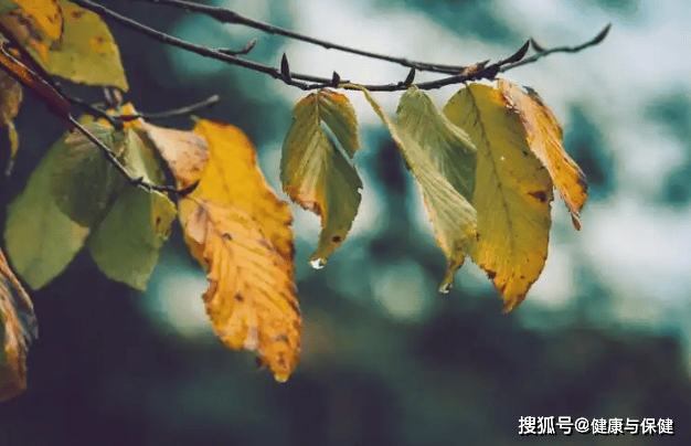 原创            “悲秋伤春”不是矫情，换季别忽视心理健康