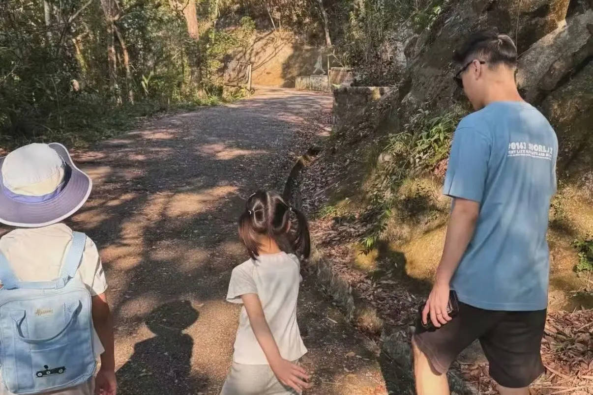 奚梦瑶晒照与何猷君带儿女爬山 享受亲子时光画面温馨有爱