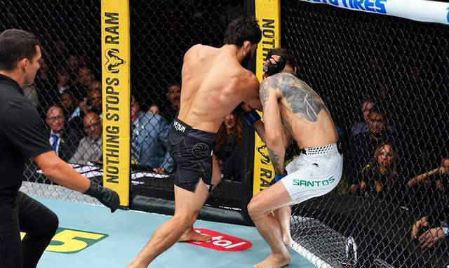 乔治传授绝招，UFC富二代以惊人KO击败对手！