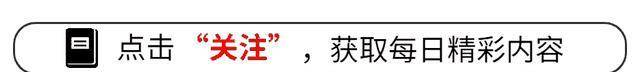 低调看jrs直播乒乓球