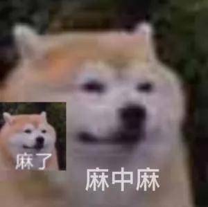 输了输了！三分球13中0！中国女篮无缘金牌战