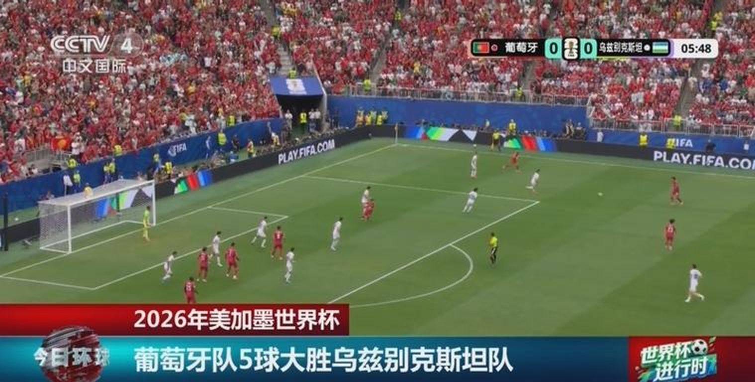 纳瓦罗