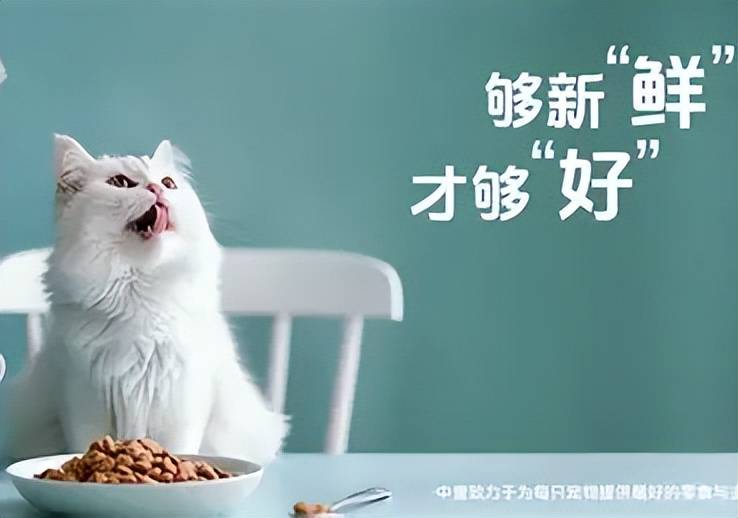 文章配图-5