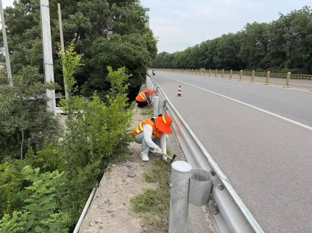兵马俑给我们的启示__兵马俑赞美一句话