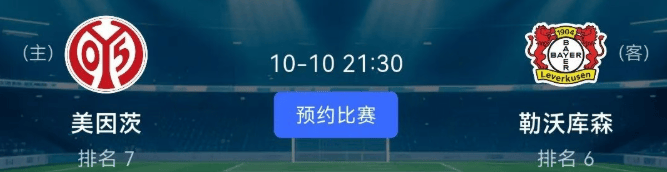 德甲 美因茨VS勒沃库森